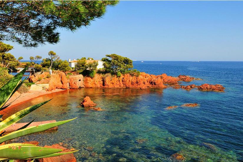 La Bastide Saint Pierre T2 - Jardin Apartment Roquebrune-sur Argens Bagian luar foto