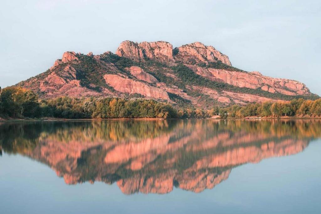 La Bastide Saint Pierre T2 - Jardin Apartment Roquebrune-sur Argens Bagian luar foto